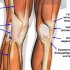 Как правильно называется обратная сторона колена?