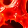 Моноклональные антитела и защита хряща: новые направления терапии, которые меняют представление о лечении суставов