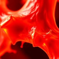 Моноклональные антитела и защита хряща: новые направления терапии, которые меняют представление о лечении суставов