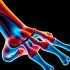 Витамин K и минерализация костной ткани: значение для субхондральной кости