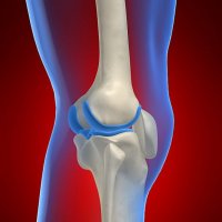 Что такое мениск коленного сустава?