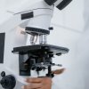 Полезное увеличение биологического микроскопа: почему 2000 крат не показывают больше