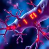 Цинк и медь в метаболизме соединительной ткани: необходимость и дозировки
