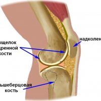 Здорова как дела: как вести здоровый образ жизни в современном мире