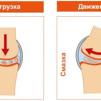 Маленький, но могучий: Удивительный мир воробьев