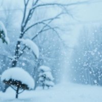 Холодный климат и спазм периартикулярных мышц: тактика защиты для повседневной жизни