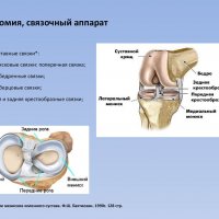 Что делать, если рвет желчью и болит живот