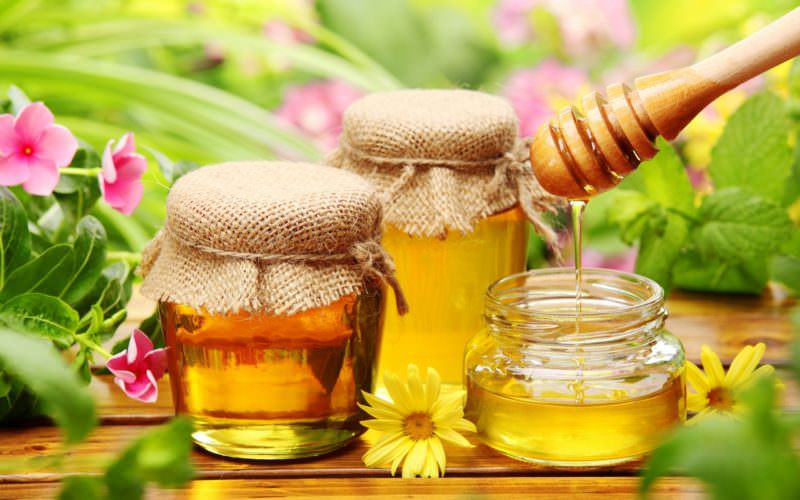 Мед для лечения гонартроза