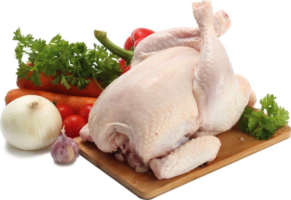 Как и где покупают мясо курицы оптом?